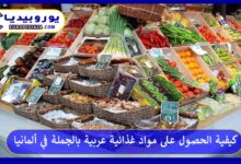 مواد-غذائية-عربية-بالجملة-في-ألمانيا