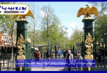 حديقة-حيوانات-أرتيس-امستردام
