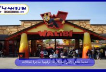 مدينة-ملاهي-واليبي-بلجيكا