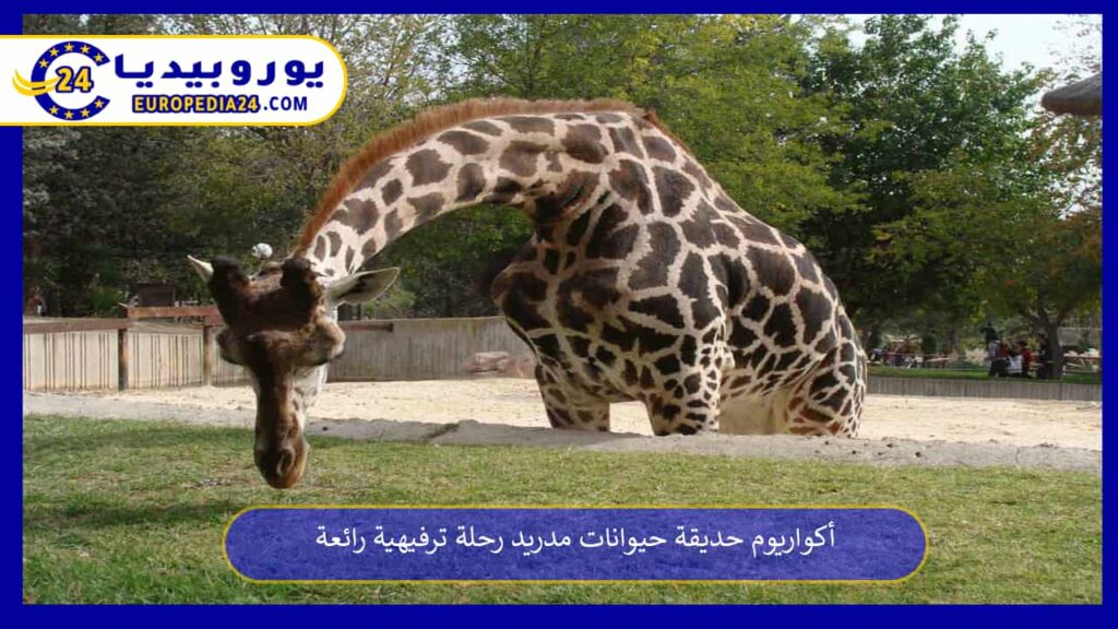 أكواريوم-حديقة-حيوانات-مدريد