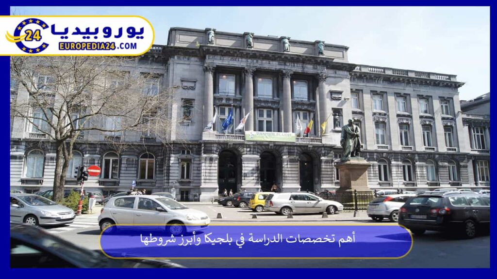 تخصصات-الدراسة-في-بلجيكا