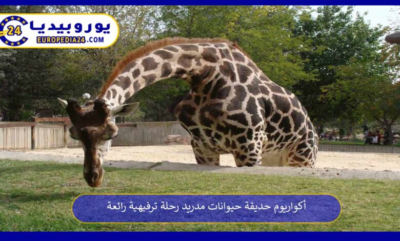 أكواريوم-حديقة-حيوانات-مدريد