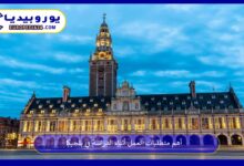 العمل-أثناء-الدراسة-في-بلجيكا