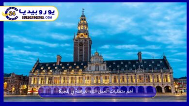 العمل-أثناء-الدراسة-في-بلجيكا