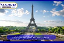 برج-إيفل-في-فرنسا