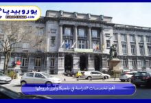 تخصصات-الدراسة-في-بلجيكا