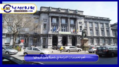 تخصصات-الدراسة-في-بلجيكا
