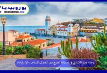 جزر-الكناري