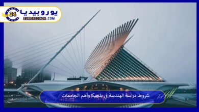 دراسة-الهندسة-في-بلجيكا