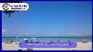 شاطئ-بيرلانتا