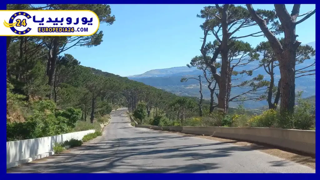 غابة-بولونيا-في-فرنسا