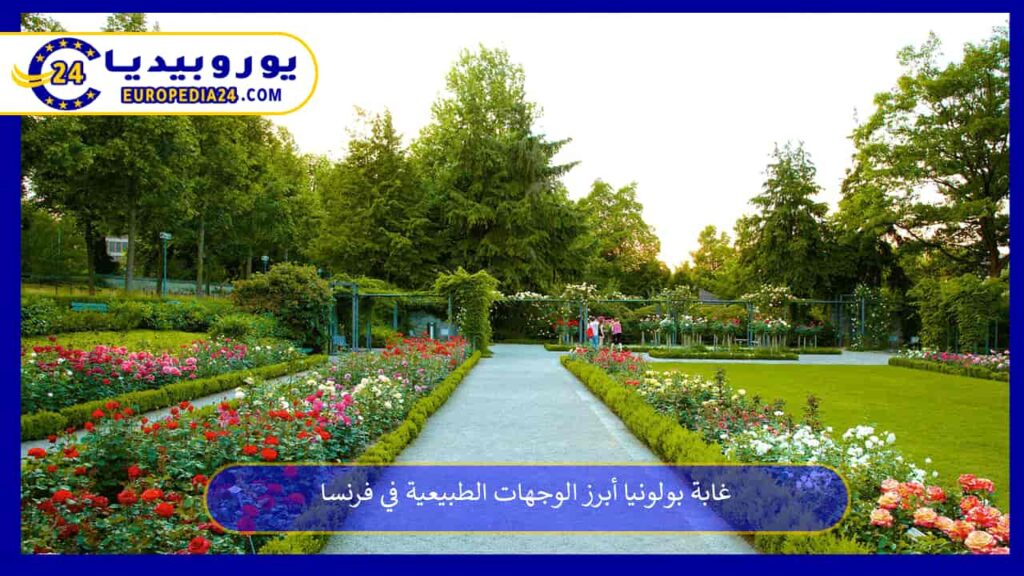 غابة-بولونيا
