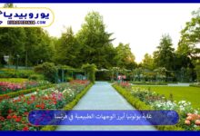 غابة-بولونيا