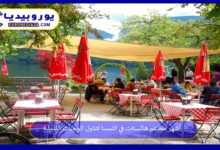 مطاعم-هالستات-في-النمسا