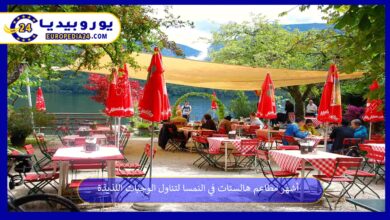 مطاعم-هالستات-في-النمسا