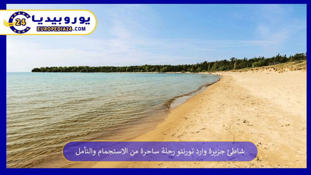 شاطئ-جزيرة-وارد-تورنتو