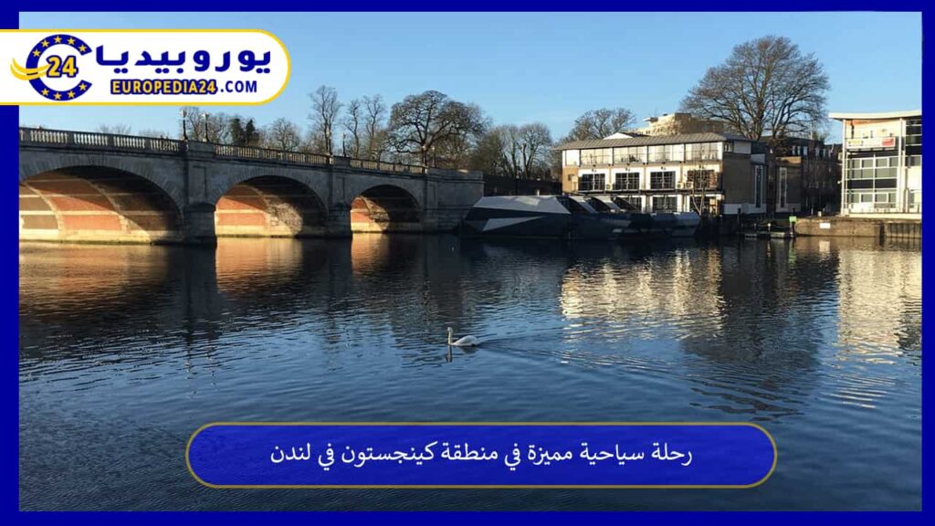 منطقة-كينجستون