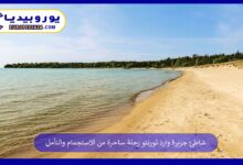 شاطئ-جزيرة-وارد-تورنتو