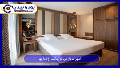 فنادق-غرناطة