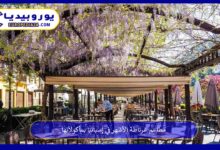 مطاعم-غرناطة
