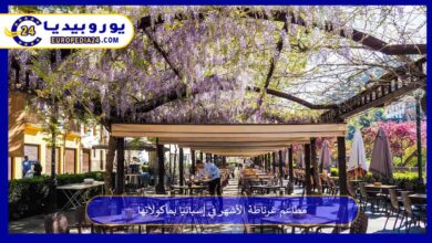 مطاعم-غرناطة
