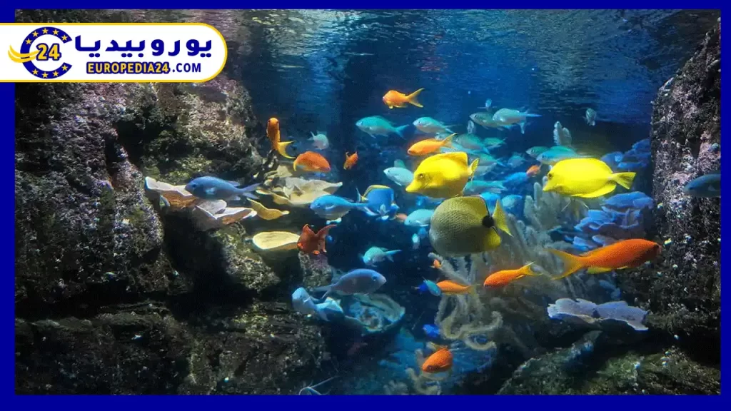 تروبيكال-أكواريوم-باريس
