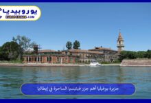جزيرة-بوفيليا