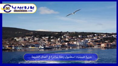 جزيرة-هيبيليادا