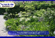 حدائق-فينيسيا