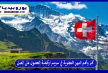أكثر وأهم المهن المطلوبة في سويسرا وكيفية الحصول على العمل