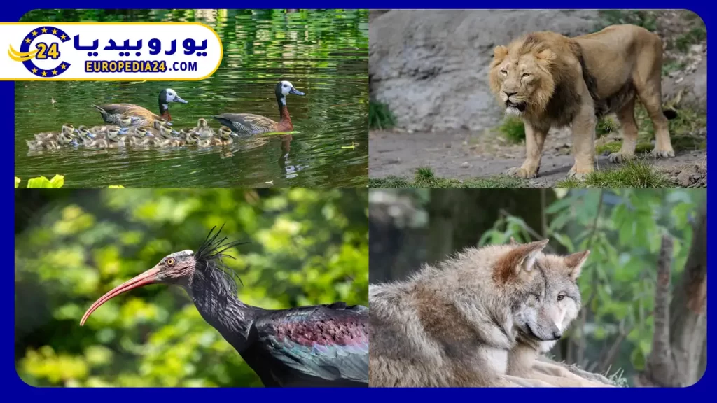 أماكن سياحية في زيورخ للاطفال