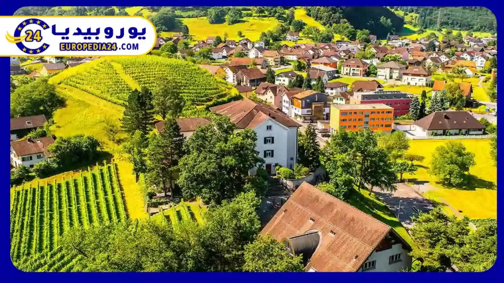 Liechtenstein Map: Key Information 3 Map of Liechtenstein and neighboring countries