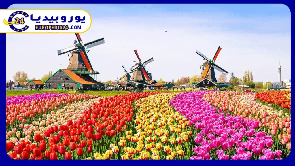Map of the Netherlands: Cities and Borders 3 Map-of-the-Netherlands-and-the-most-important-cities