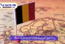 فيزا-البحث-عن-عمل-في-بلجيكا