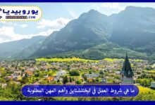 العمل-في-ليختنشتاين