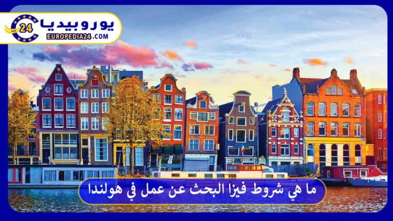 ما هي شروط الحصول على فيزا البحث عن عمل في هولندا؟ 7 فيزا البحث عن عمل في هولندا