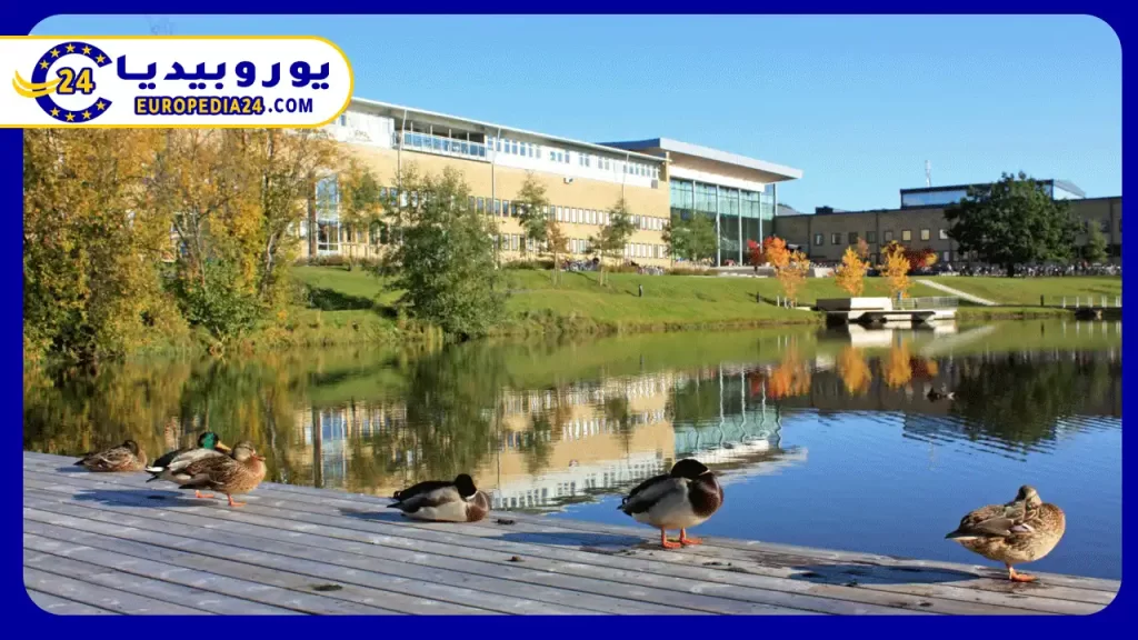 Best Universities in Sweden for Students 3 University-Umeå