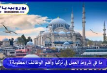 العمل-في-تركيا