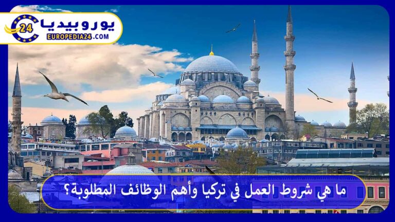 ما هي شروط العمل في تركيا وأهم الوظائف المطلوبة؟ 5 العمل في تركيا