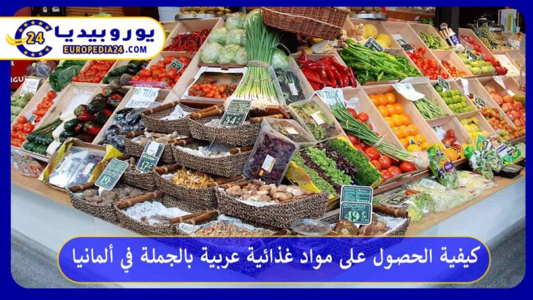 كيفية الحصول على مواد غذائية عربية بالجملة في ألمانيا 1 مواد غذائية عربية بالجملة في ألمانيا
