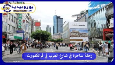 شارع-العرب-في-فرانكفورت