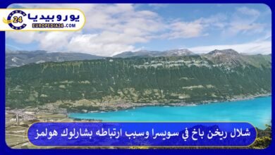 شلال-ريخن-باخ-في-سويسرا