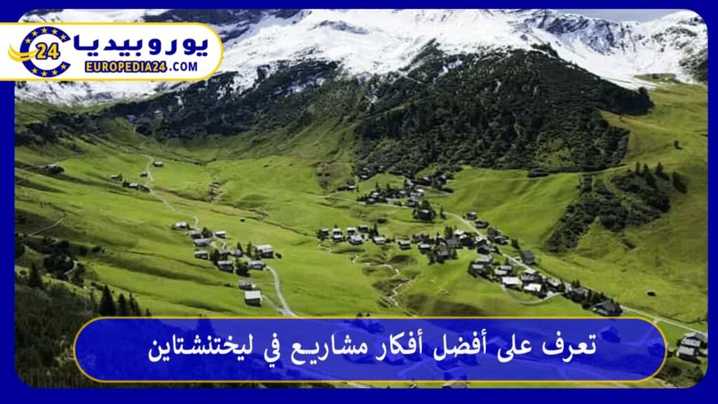 Beste Geschäftsideen in Liechtenstein 1 Ideen-Projekte-in-Liechtenstein