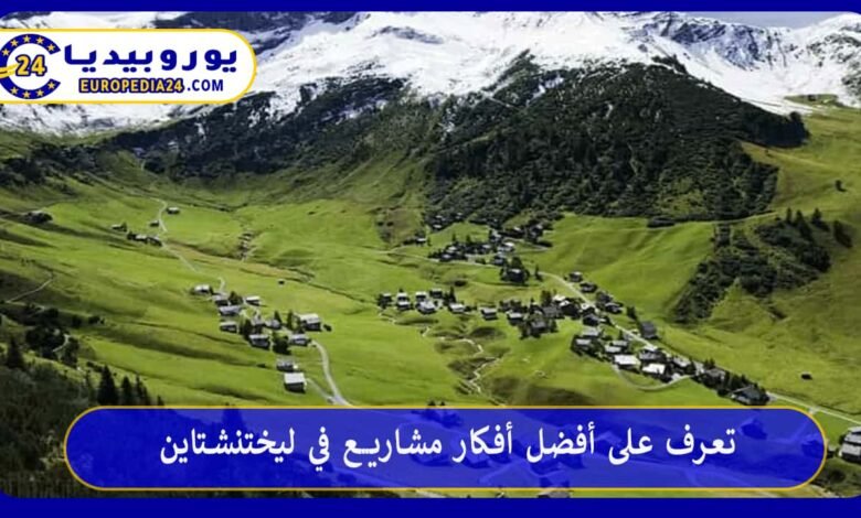 Las mejores ideas de negocio en Liechtenstein 62 أفكار-مشاريع-في-ليختنشتاين