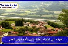 اقتصاد-ليختنشتاين