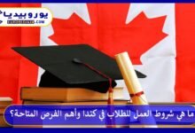 ما هي شروط العمل للطلاب في كندا وأهم الفرص المتاحة؟ 7 شروط-العمل-للطلاب-في-كندا