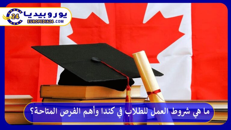 ما هي شروط العمل للطلاب في كندا وأهم الفرص المتاحة؟ 6 شروط العمل للطلاب في كندا