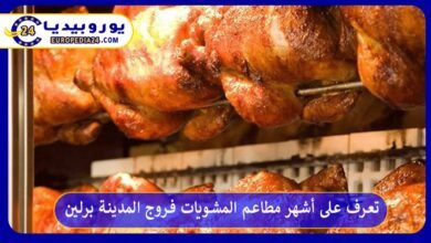فروج-المدينة-برلين