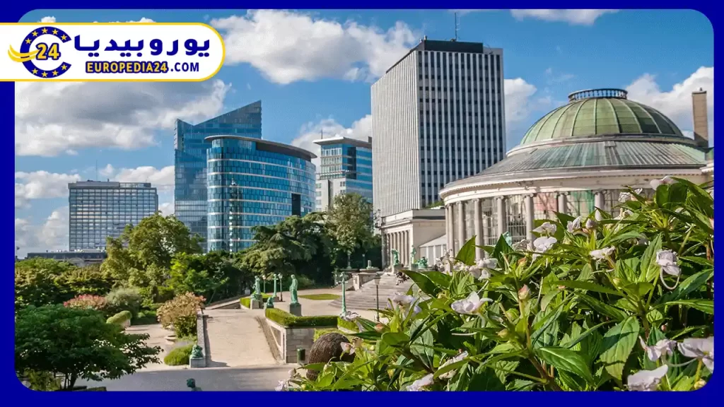 How to Set Up a Company in Belgium 2 Steps-to-establish-and-register-a-company-in-Belgium