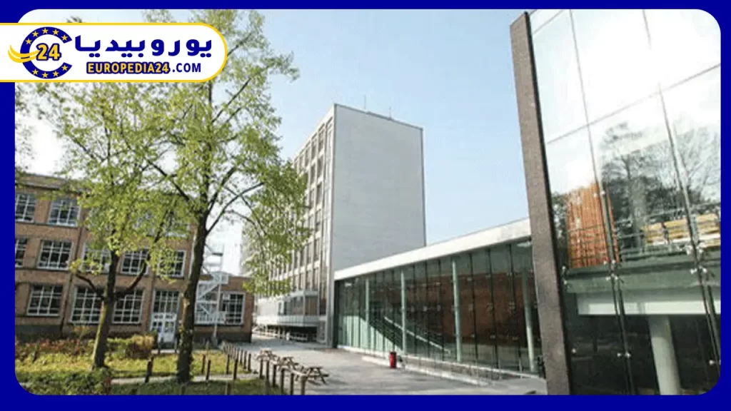 Best Business Schools in Belgium 2 Advantages of studying business administration in Belgium